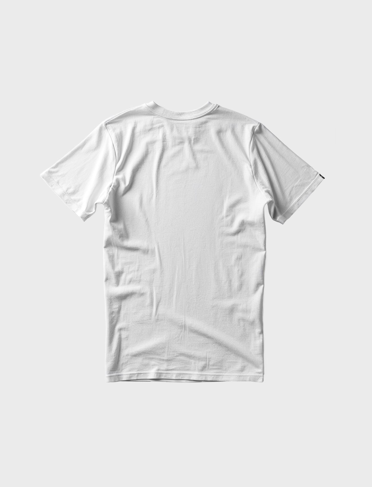 CAMISETA BASIC BIG
