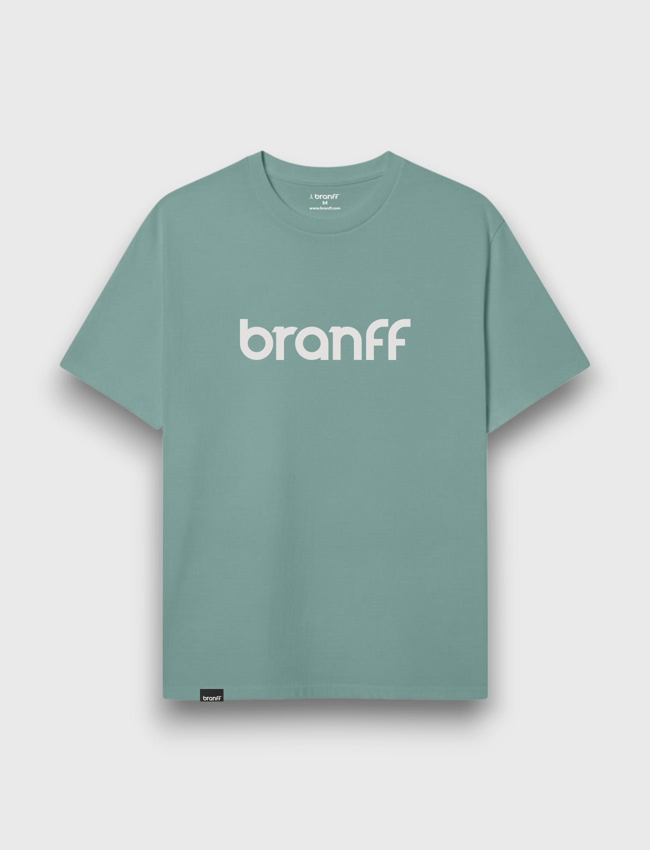 BASIC BIG