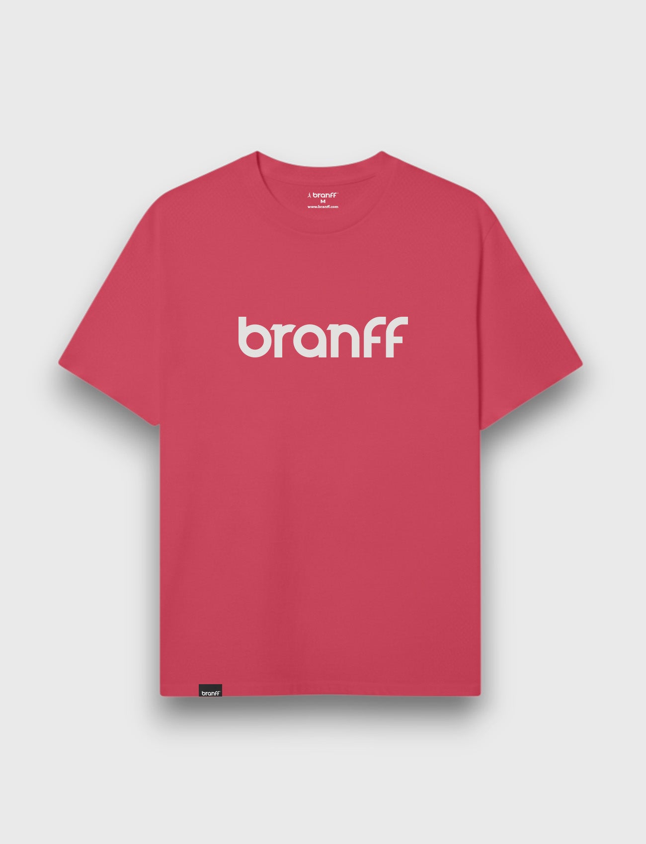 BASIC BIG