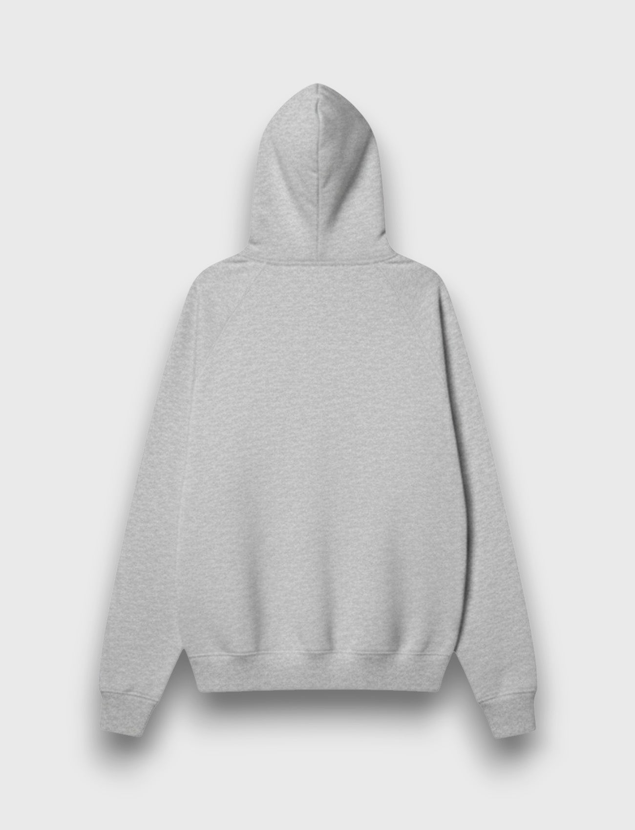 HOODIE BASIC ZIP GRIS