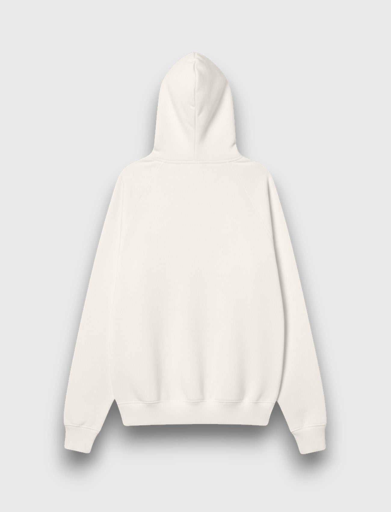 HOODIE BASIC LOGO OFF WHITE