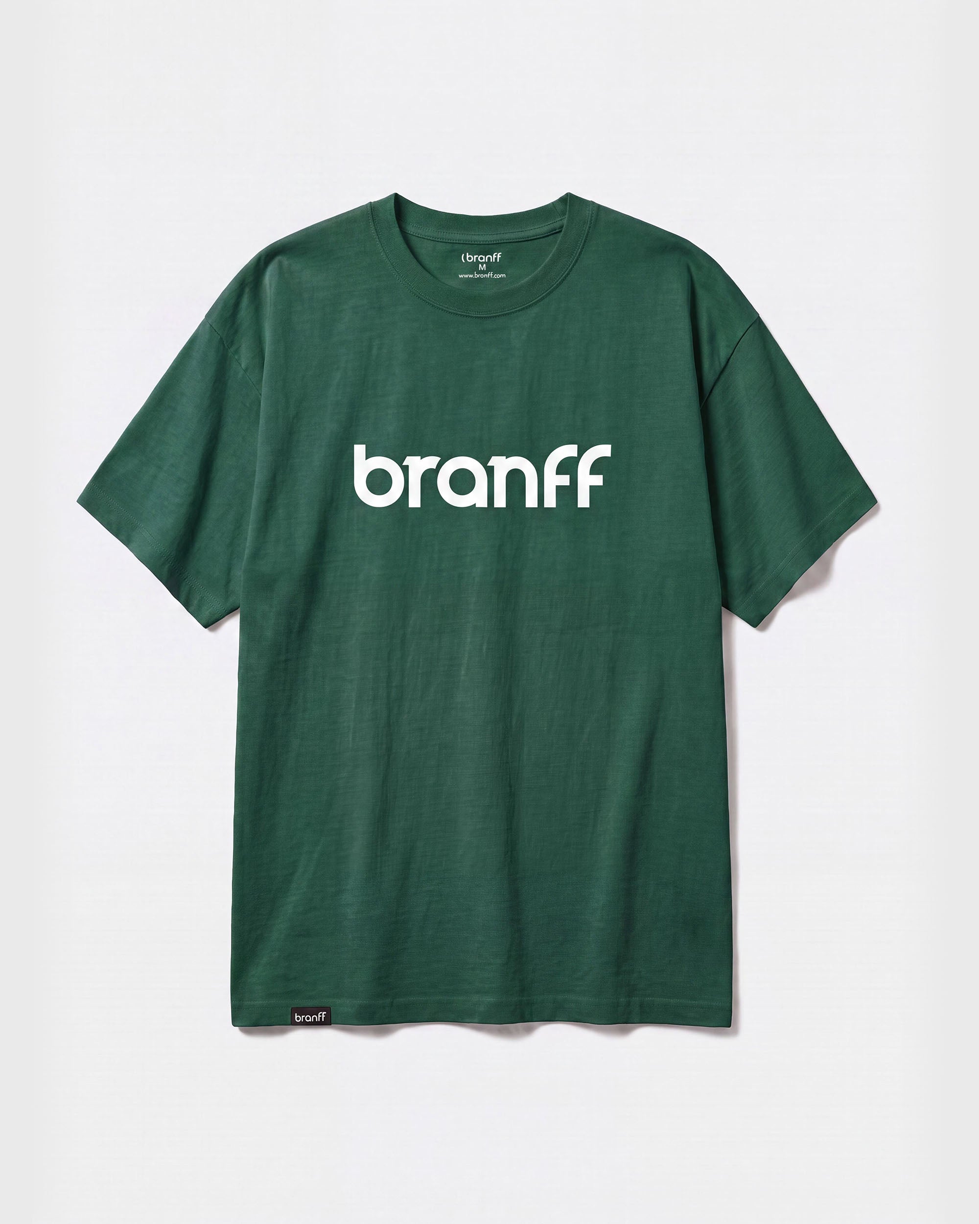 BASIC BIG