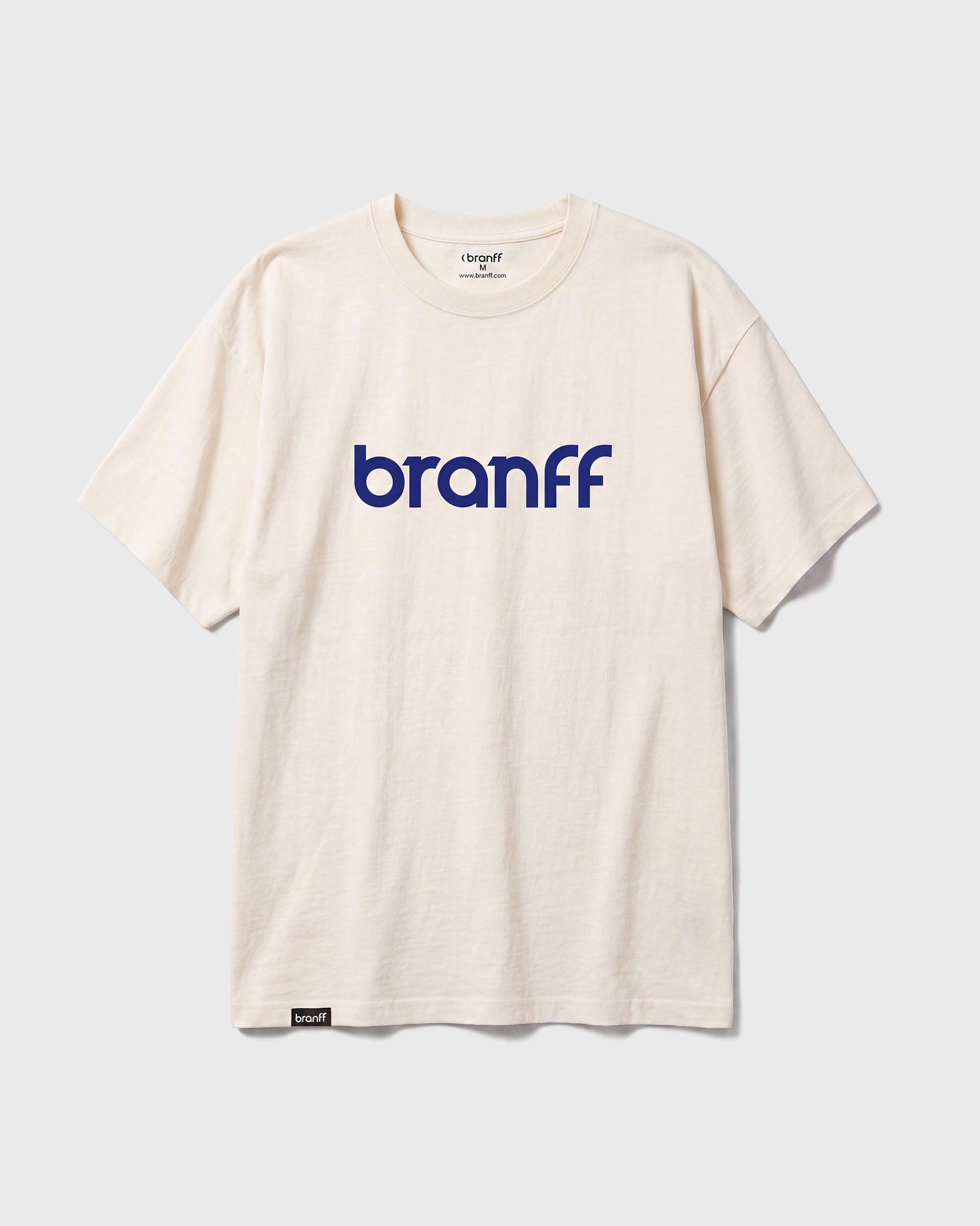 BASIC BIG
