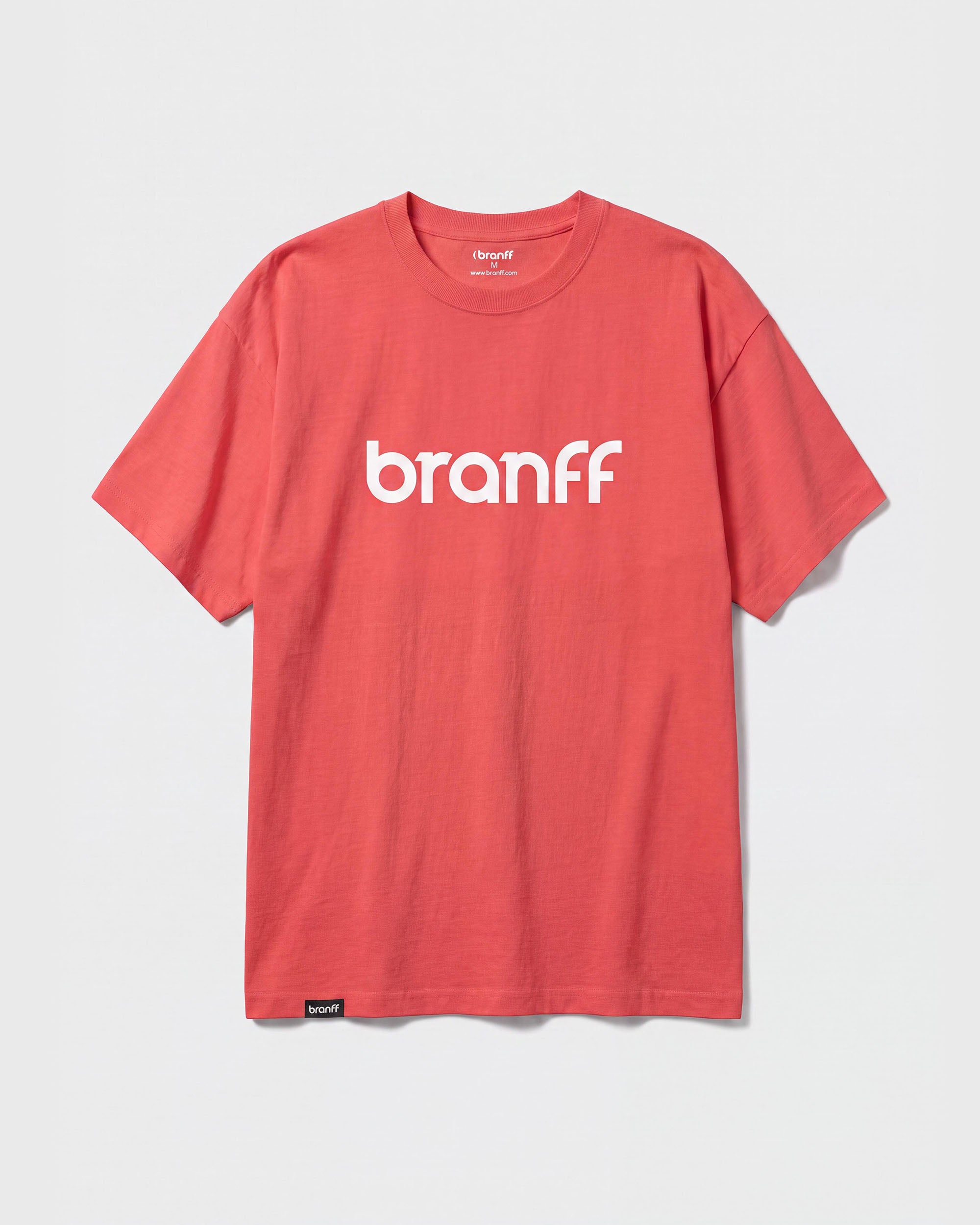 BASIC BIG